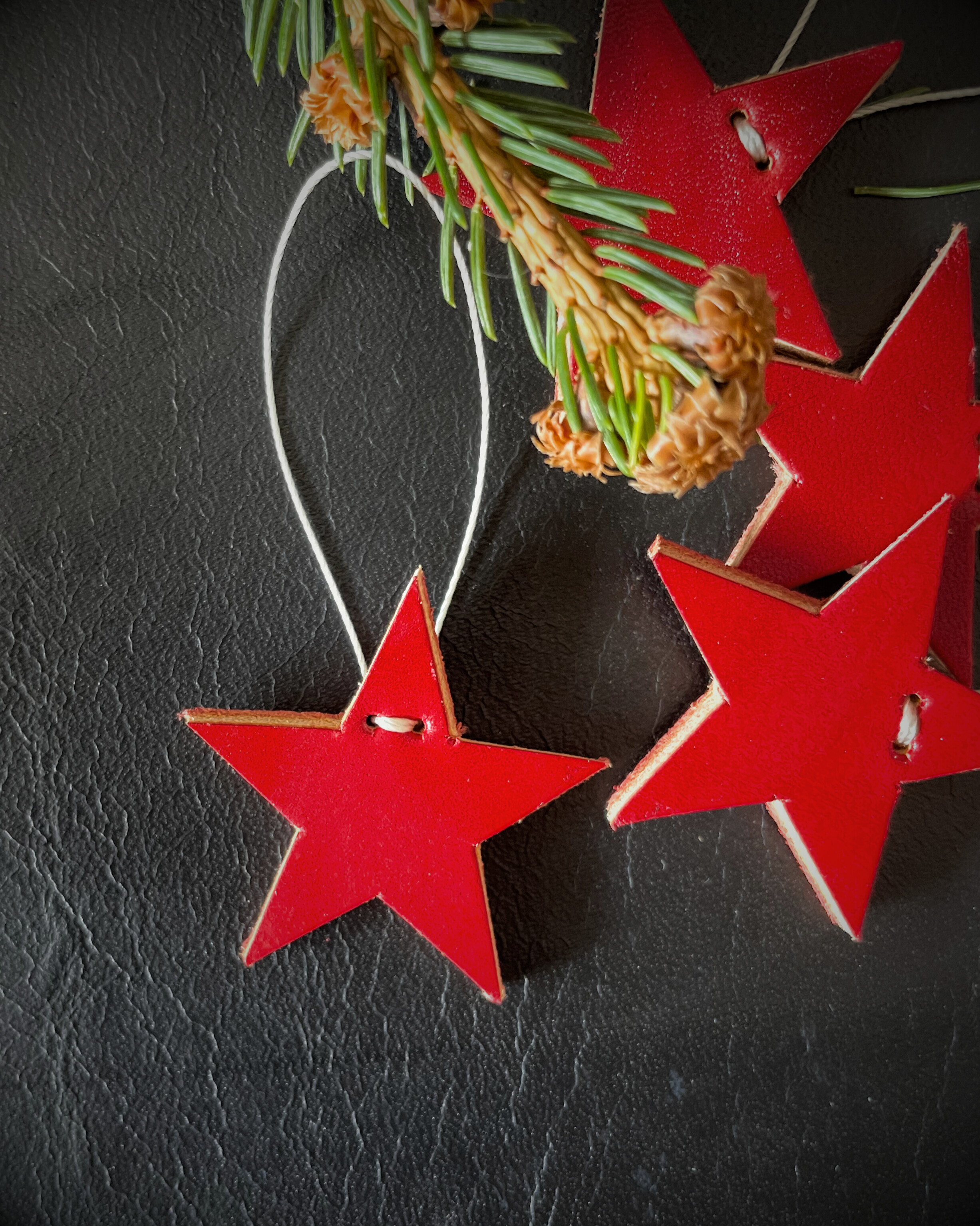 Vianočné hviezdičky mini red