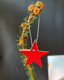 Vianočné hviezdičky mini red